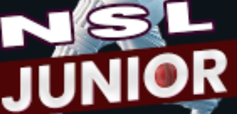 NSL Junior Season 2 - Live Cricket Scores, Ball-by-Ball Commentary ...